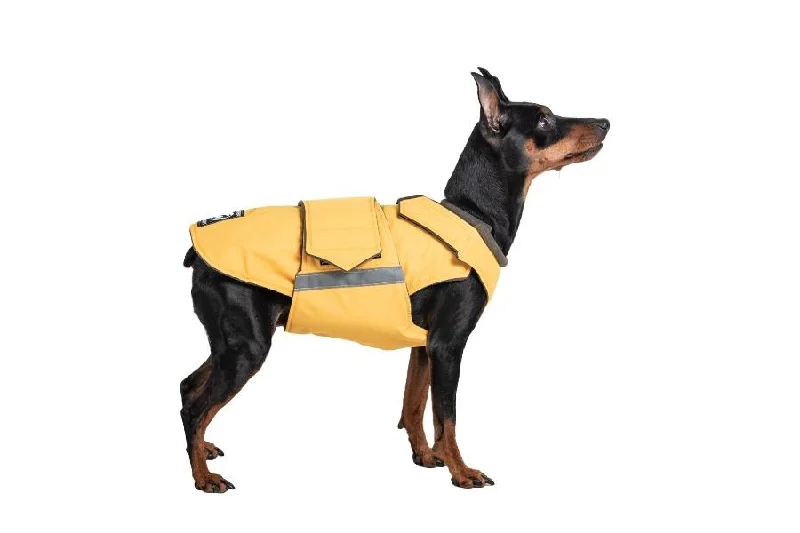 MINIATURE PINSCHER RAINCOAT / MADE TO ORDER