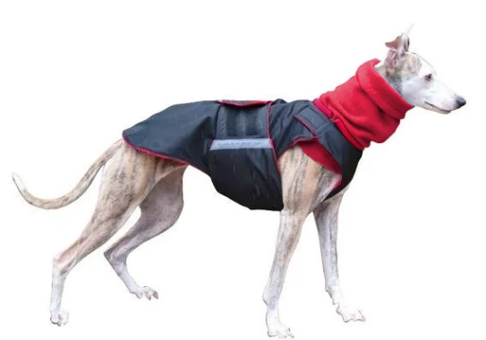 GREYHOUND DOG RAINCOAT + NECK WARMER / MADE TO ORDER