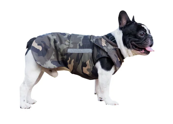 FRENCH BULLDOG DOG RAINCOAT / MADE TO ORDER